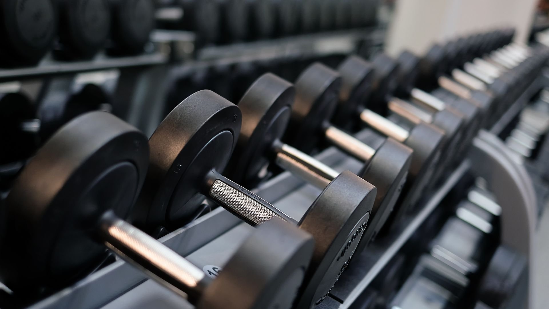 Rows of black dumbbells neatly organized on a weight rack